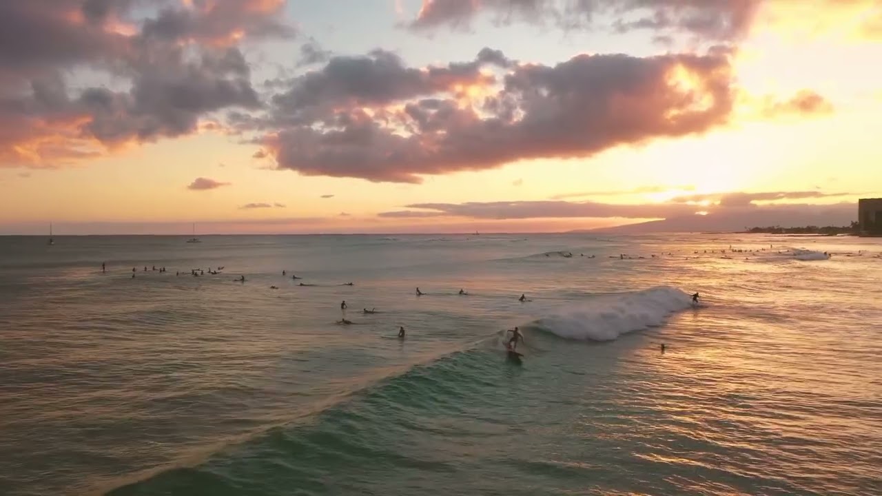 Ocean waves with seagulls sounds  effect