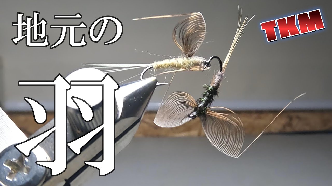 【天空の野反湖】虫のウイングをキジ羽を使いタイイングする🐜　＃フライタイイング　＃フライフィッシング