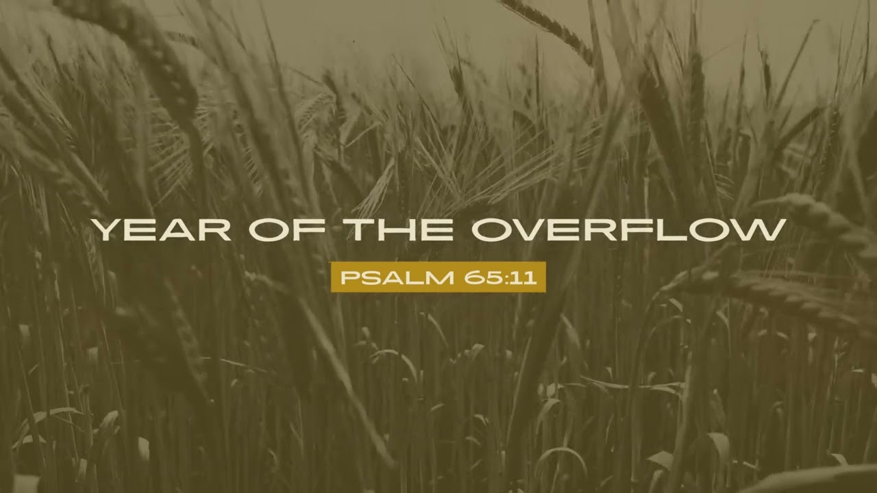 Year Of The Overflow