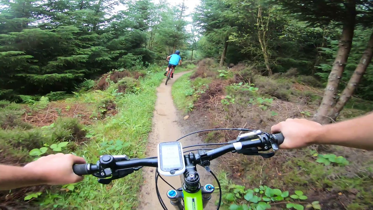 Mountain Biking Dalby Forest Jubilee Blue Trail