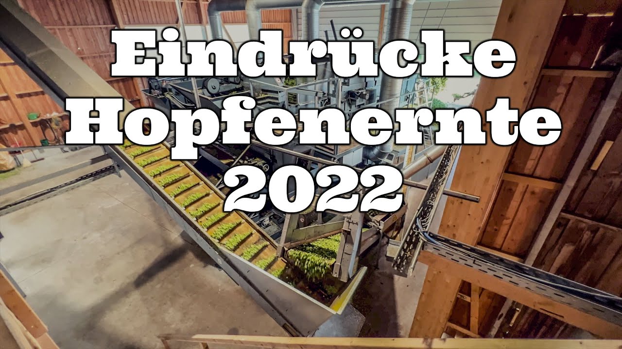 Eindrücke Hopfenernte 2022