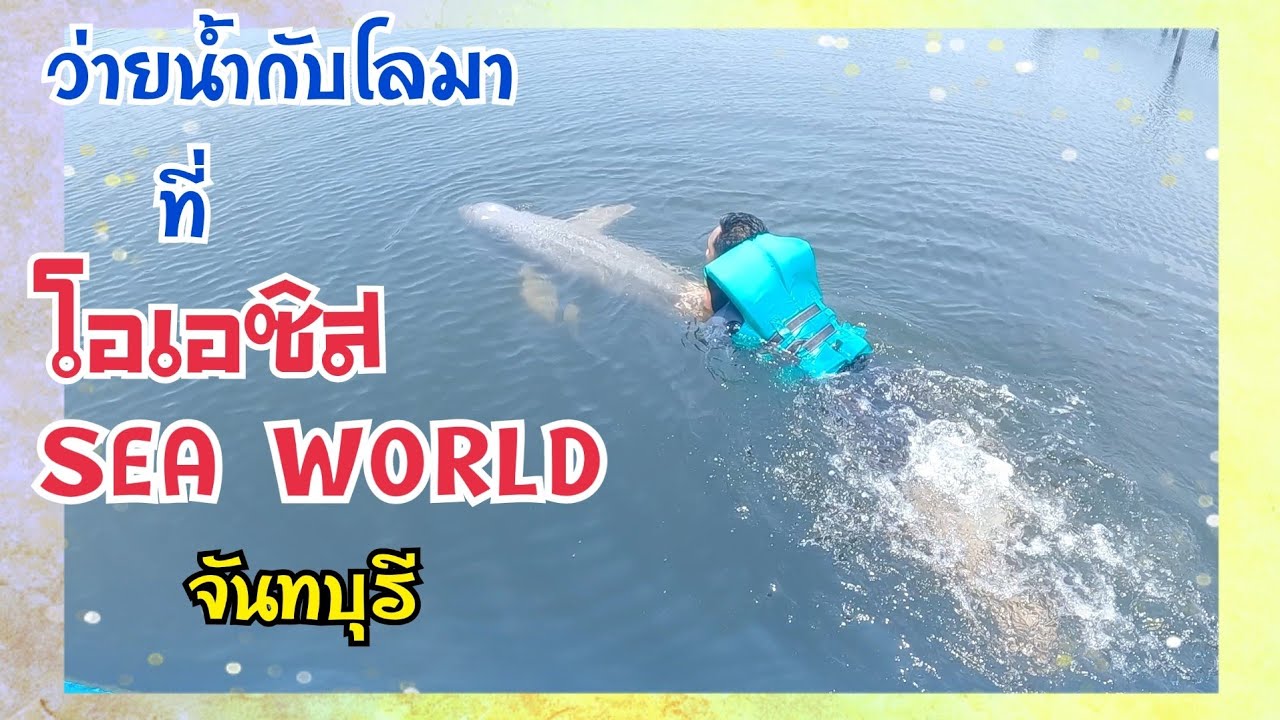 EP.82 โอเอซิสซีเวิลด์ เล่นน้ำกับโลมา OASIS SEA WORLD จันทบุรี #ที่เที่ยวจันทบุรี #เล่นน้ำกับโลมา