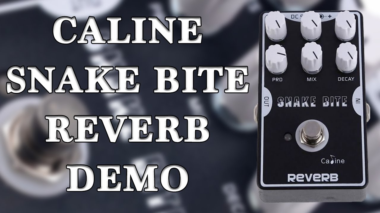 Caline - CP-26 Snake Bite Reverb - Demo
