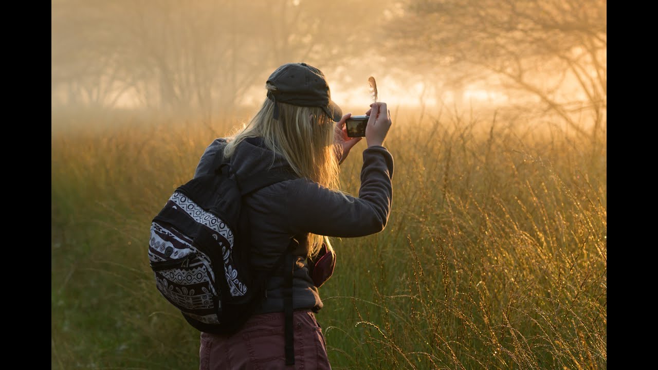 Jonge Rewildersnetwerk ARK Rewilding Nederland