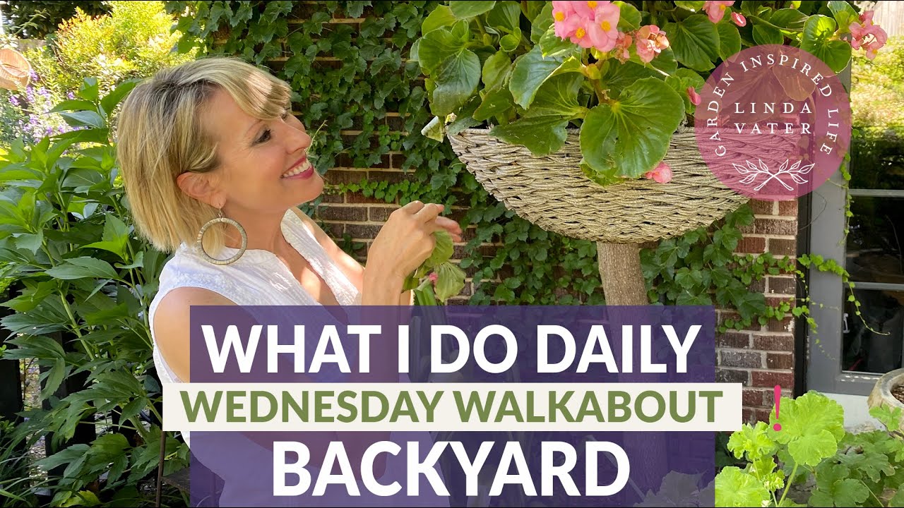 What I Do Daily in my Garden