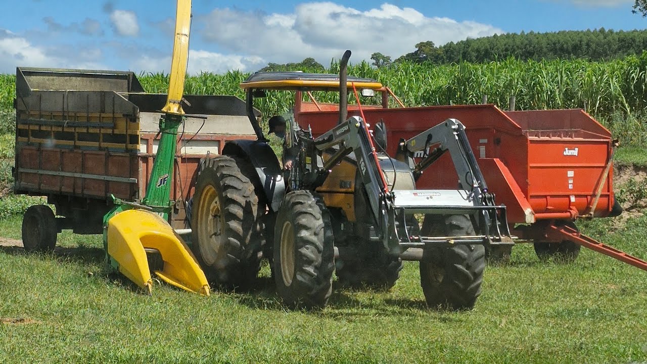 Semana recheada!! Silagem, reposição, venda de bois do semi confinamento e mais!!! ⚠️