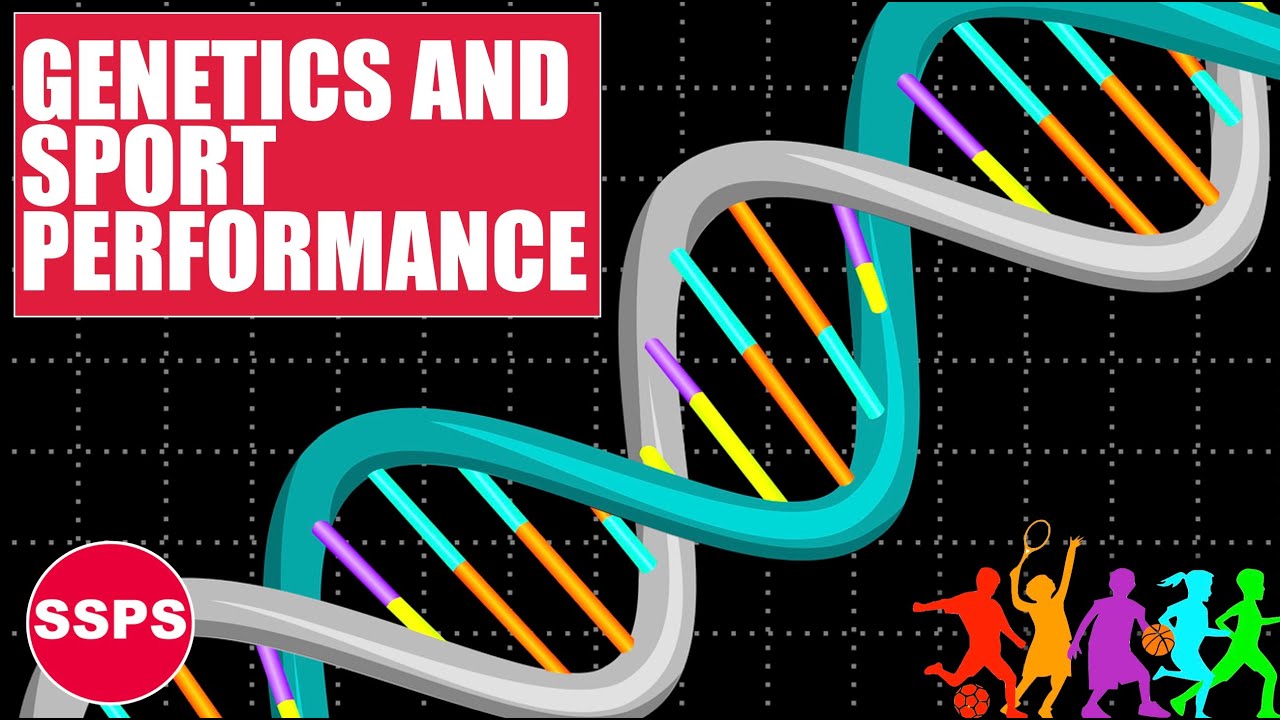 GENETIC APPROACHES FOR SPORTS PERFORMANCE | How far away are we?