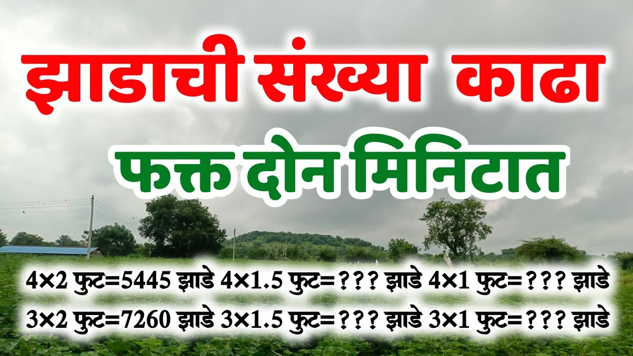 4×1.5 फुट अंतरावर लागवड केल्यास एका एकरात किती झाडे बसतात | एकरी झाडांची संख्या काढणे