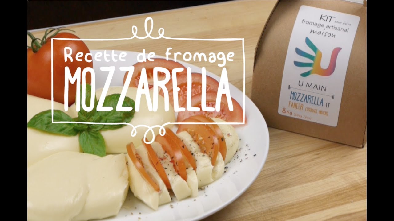 Guide vidéo de fabrication de Mozzarella maison | U MAIN kits