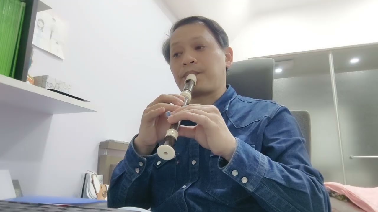 被動 (soprano recorder cover)