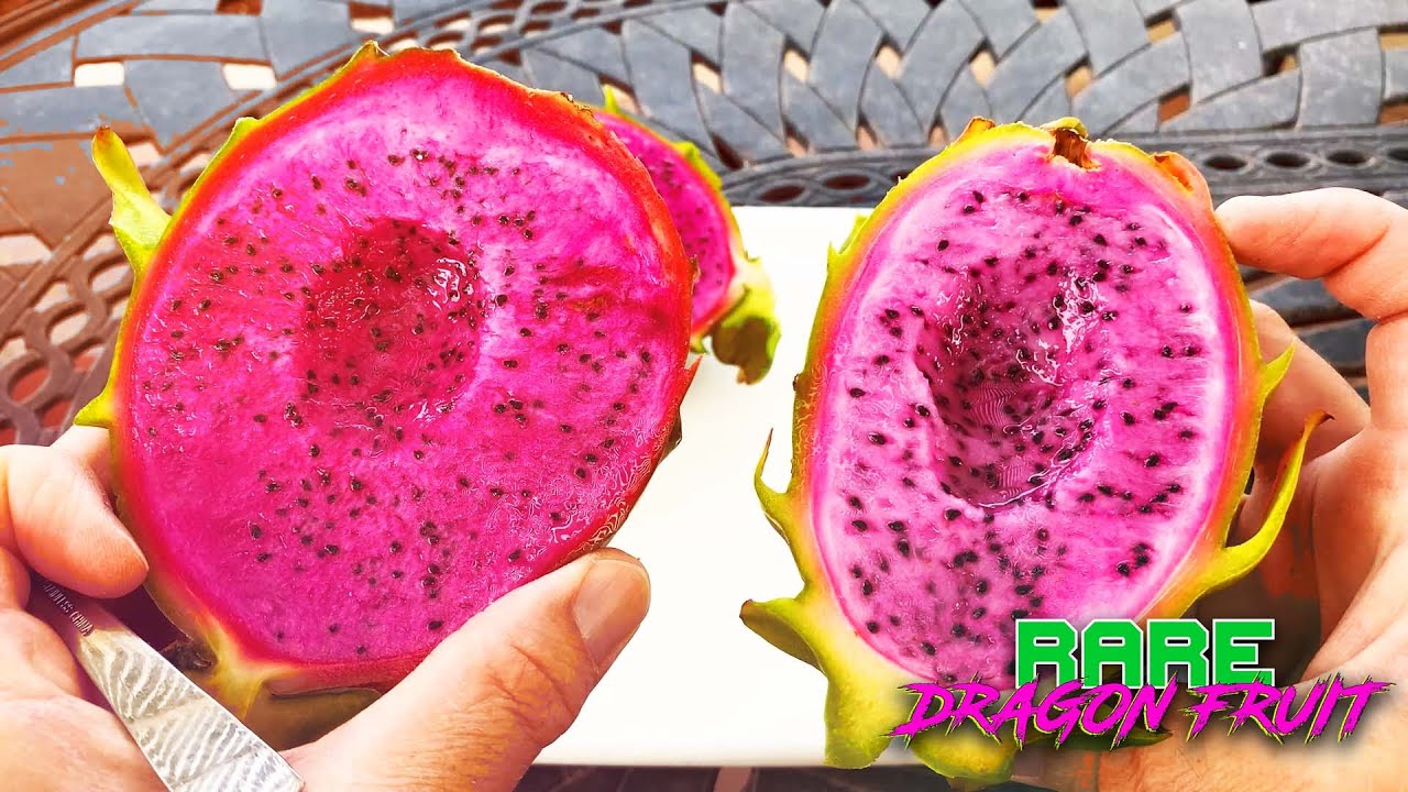 Ax Dragon Fruit VS. American Beauty Dragon Fruit / DELICIOUS WALLACE RANCH Dragon Fruit / BRIX Score