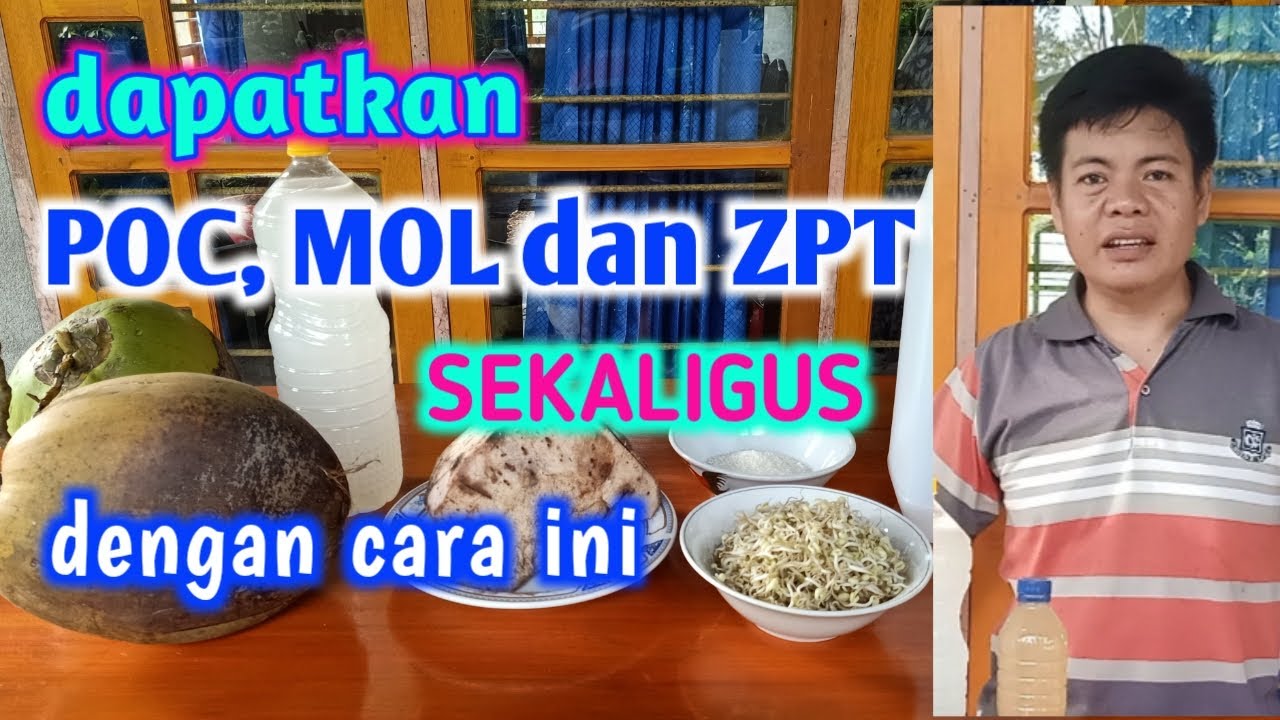 Dapatkan POC, MOL Dan ZPT Sekaligus Dengan Cara Ini