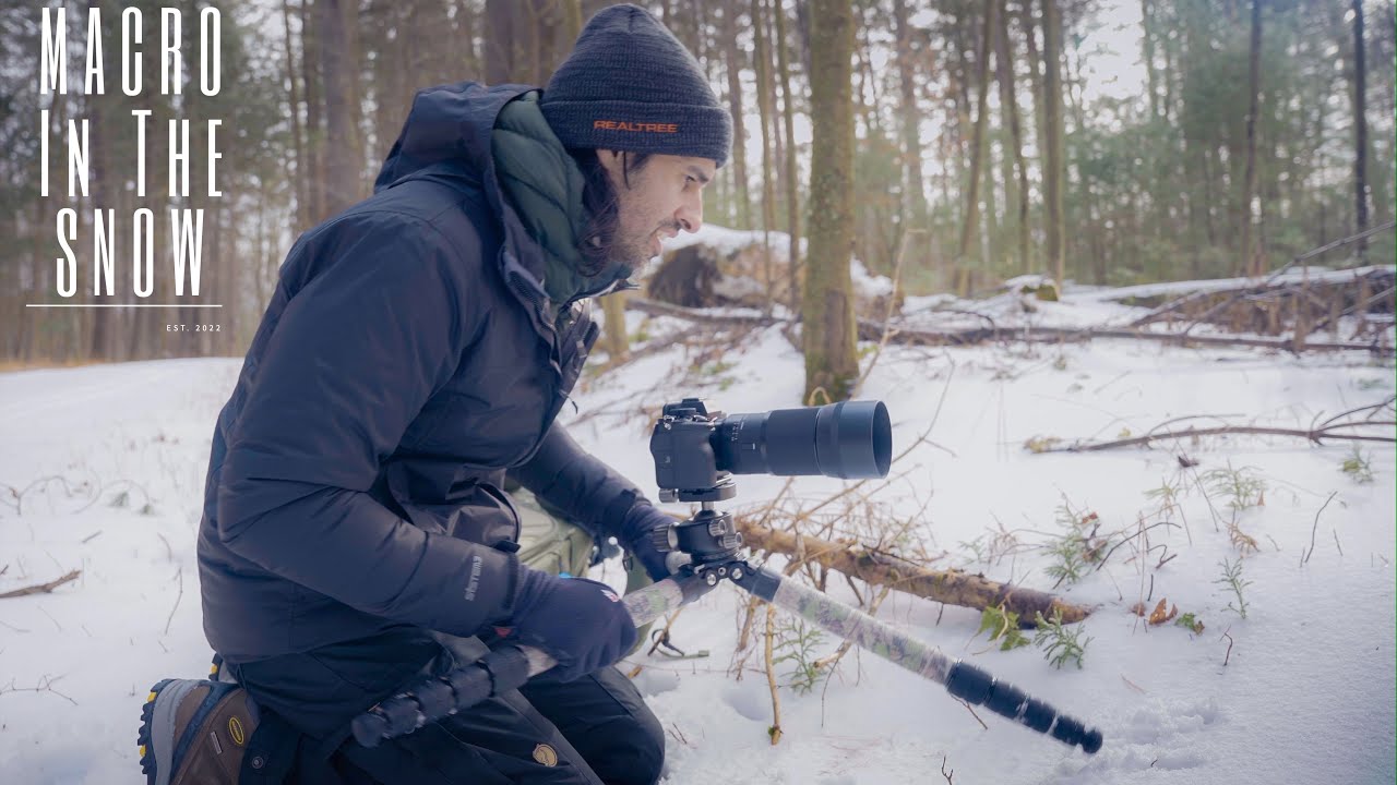 Macro in The Snow | Macro Photography | Sony A7 IV & Sigma 105 Macro