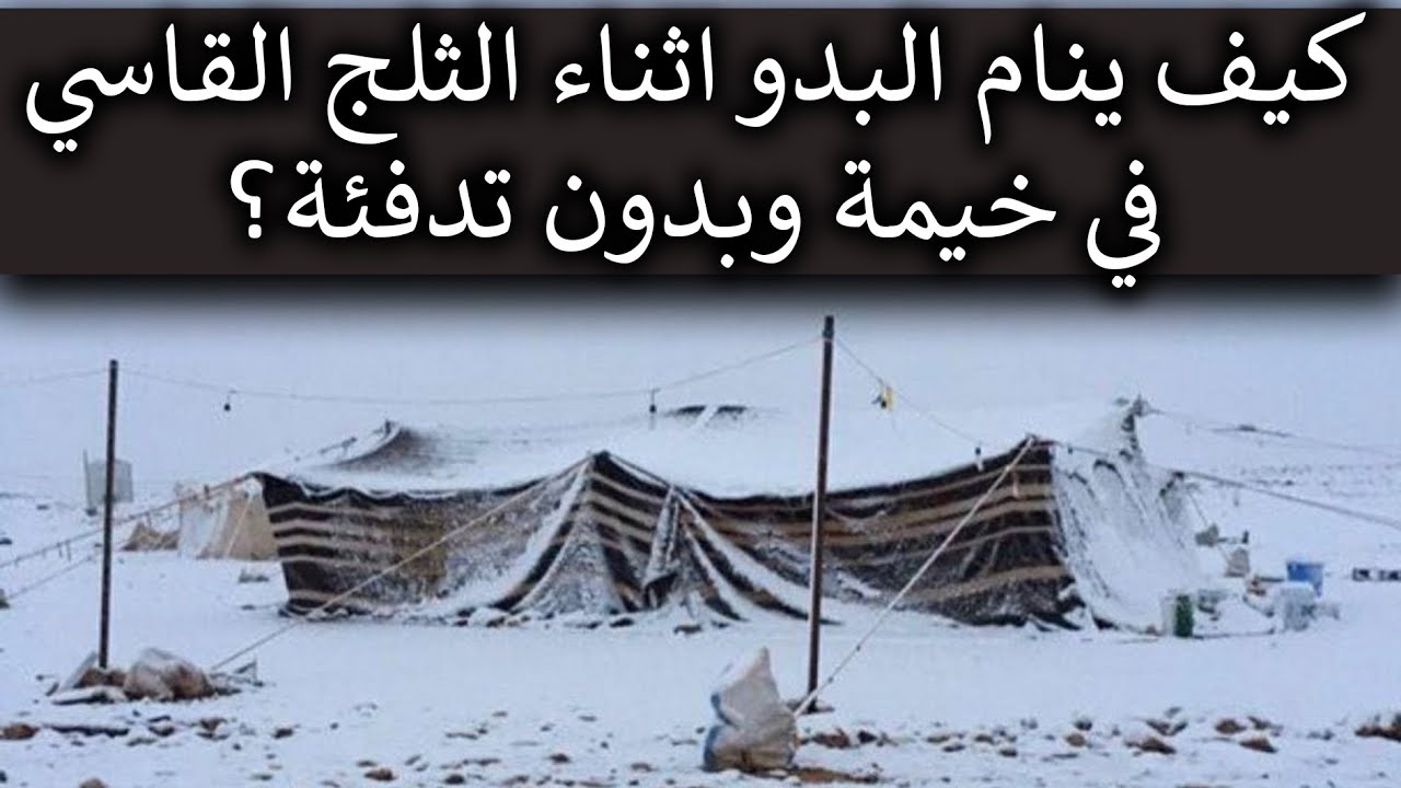 كيف ينام البدو وسط الثلج؟ السر الذي لا تعرفه عن الخيمة السوداء.