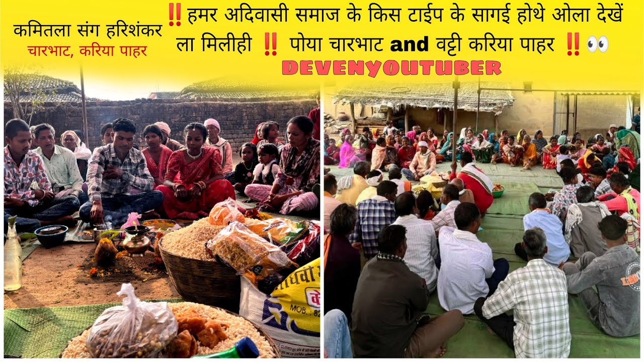 ‼️हमर अदिवासी समज के किस टाईप के सागई होथे ओला देखें ला मिलीही ‼️पोया चारभाट and वट्टी करिया पाहर ‼️