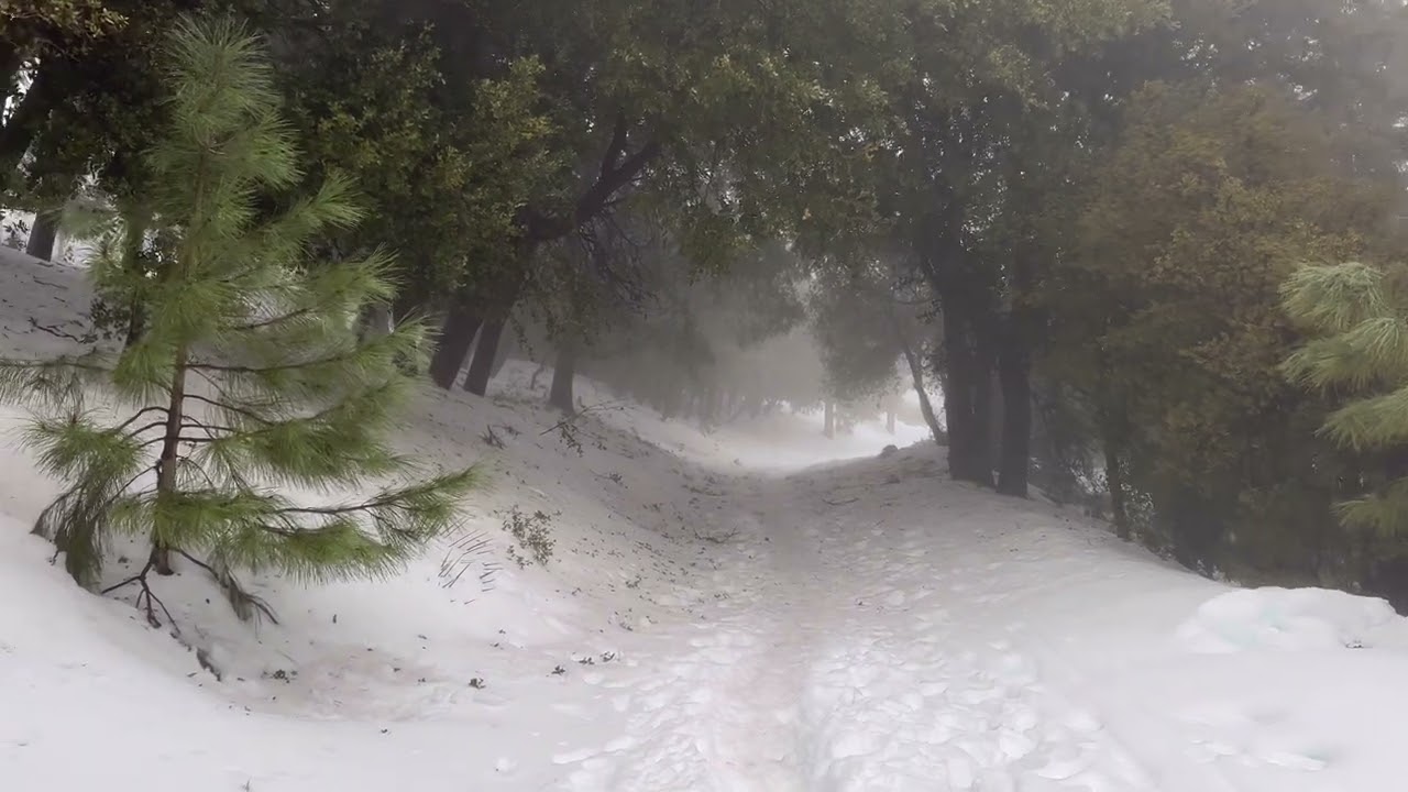 Mt Lukens after the Los Angeles Blizzard