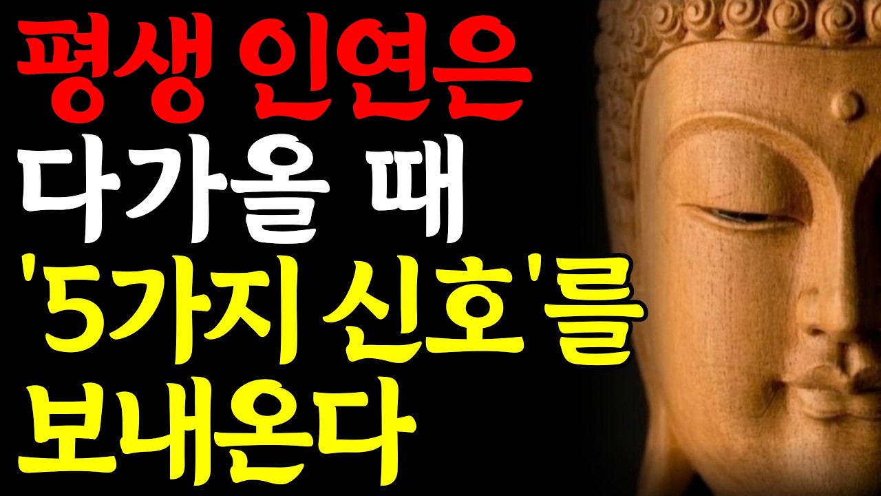 평생인연 진짜 인연인 사람은 이렇습니다 | 진짜 인연이라는 이 신호 | 부처님말씀