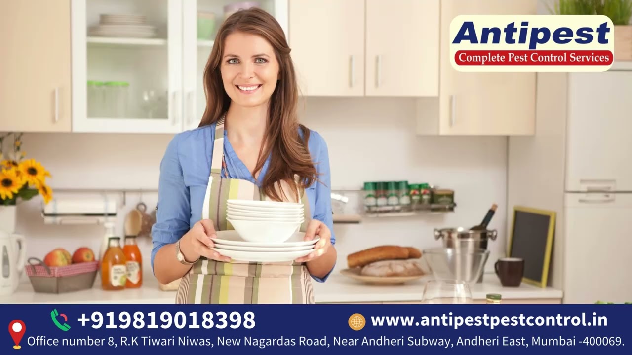 Antipest Pest Control Services