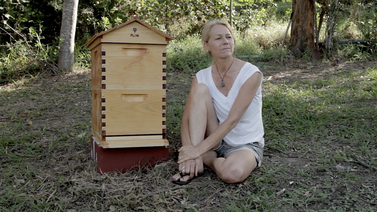 Beginner Beekeeping Ep 2 -  Situating your Flow™ Hive
