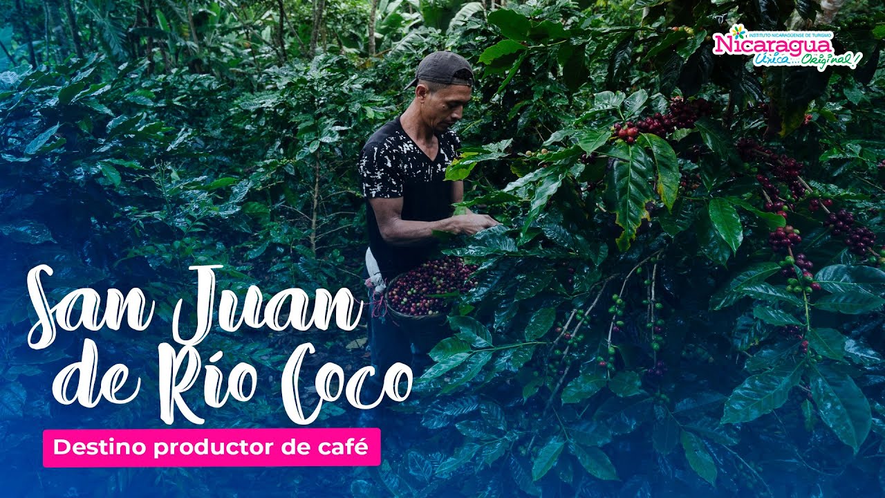 San Juan de Río Coco, destino productor de café