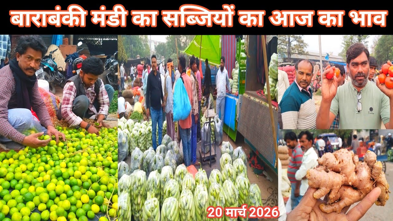 March 20, 2026 Barabanki 🥕 बाराबंकी मंडी का सब्जियों का आज का भाव 🫛 sabji Mandi 🥰 mandi news 