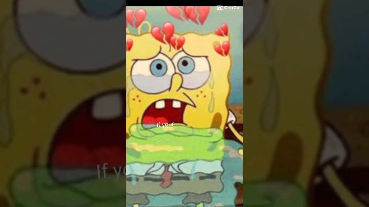 spongebob x patrick