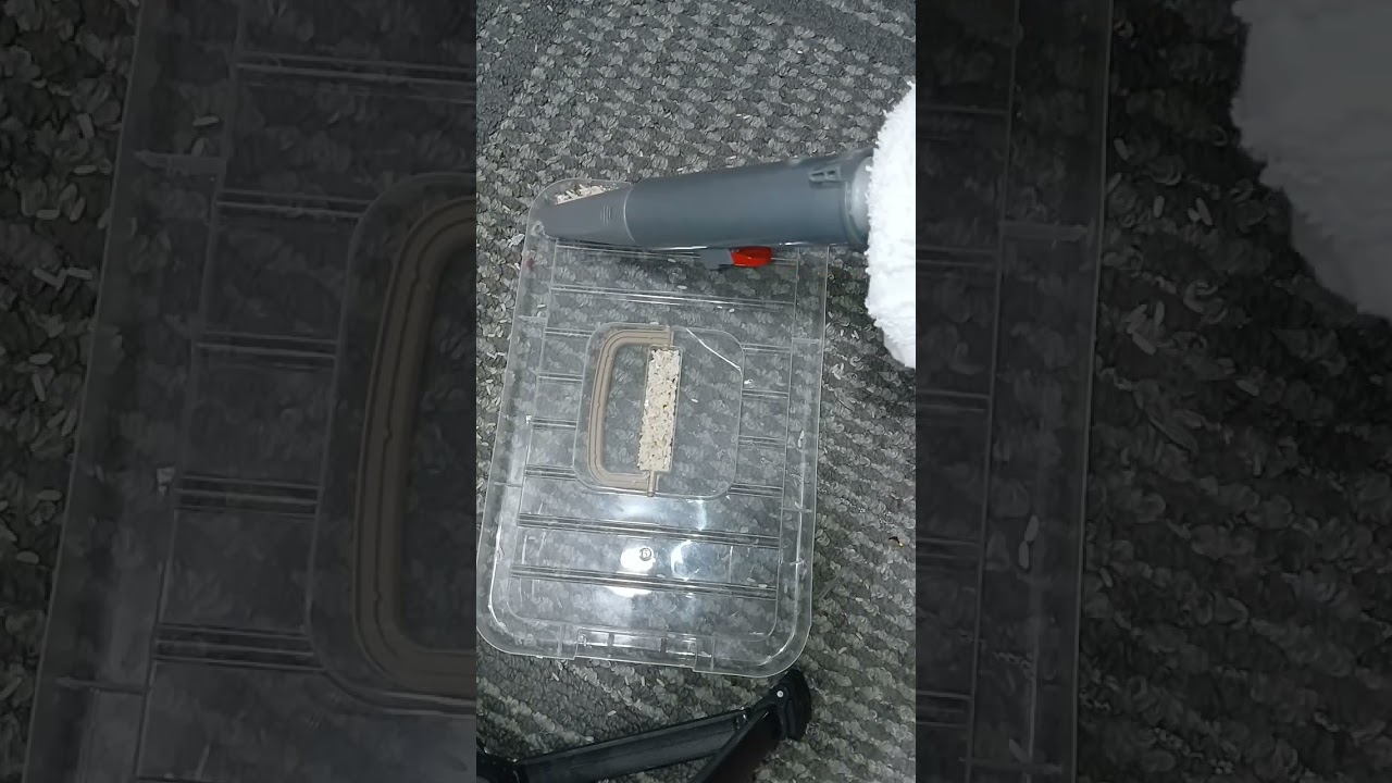 Rice Mix unmic'd/Micd whats your preference #odlysatisfying #anxietyrelief #vacuumcommunity ##asmr 