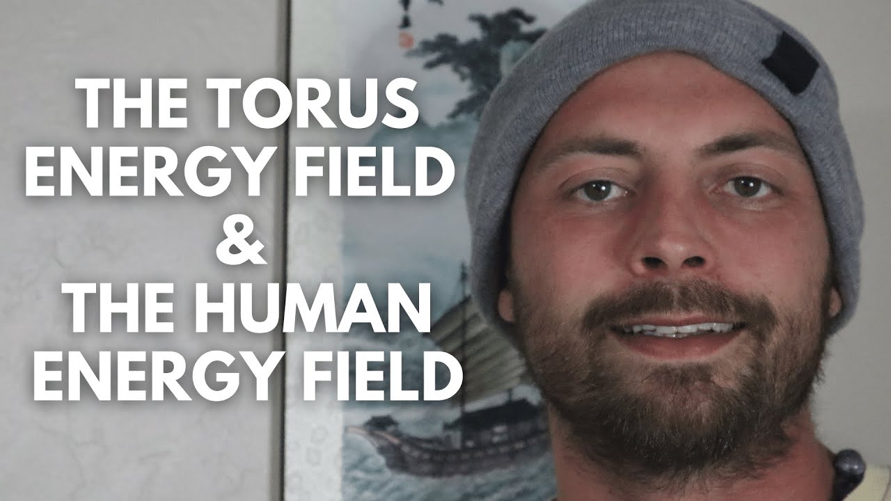 Torus Energy Field