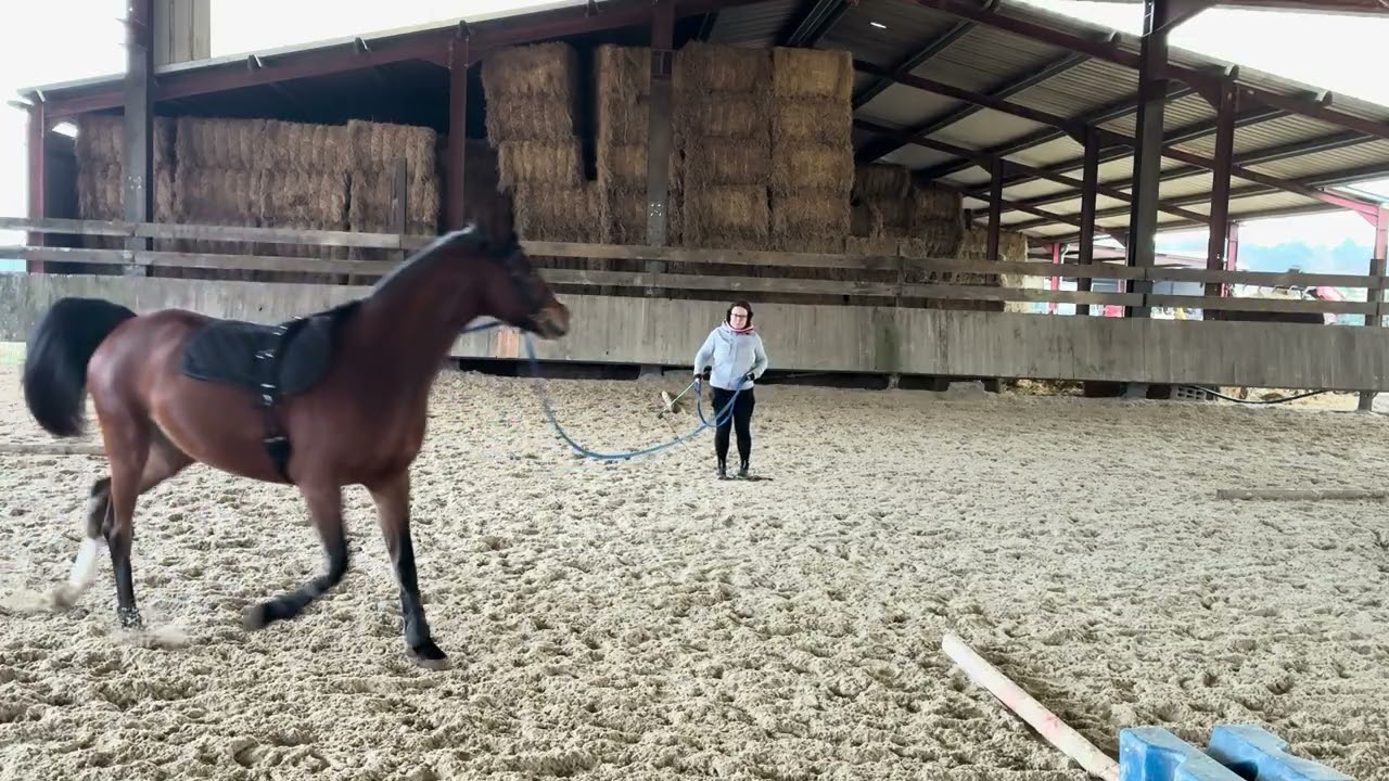 Longe très sportive avec Bonita 22/01/2026