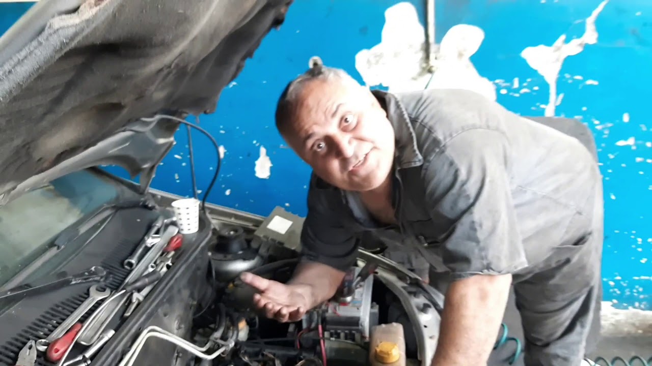 Palio titriyor