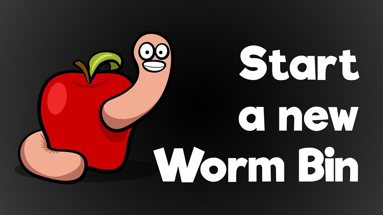 Starting a new worm bin