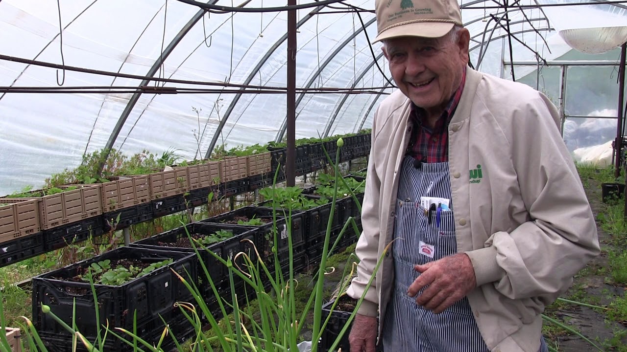 Growing Onions In Wicking Tubs Ep 79