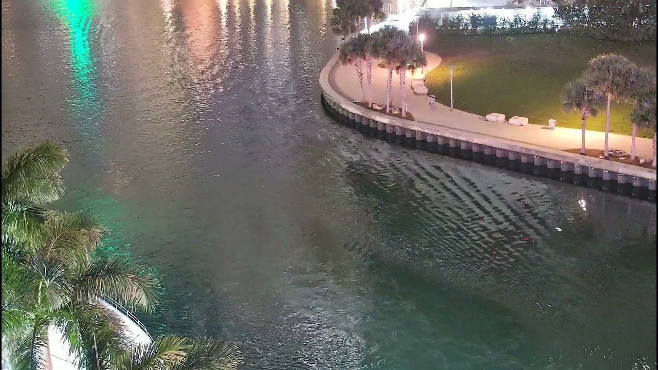 Miami River Camera - Feb 17, 2026 4:00 AM to 5:00 AM