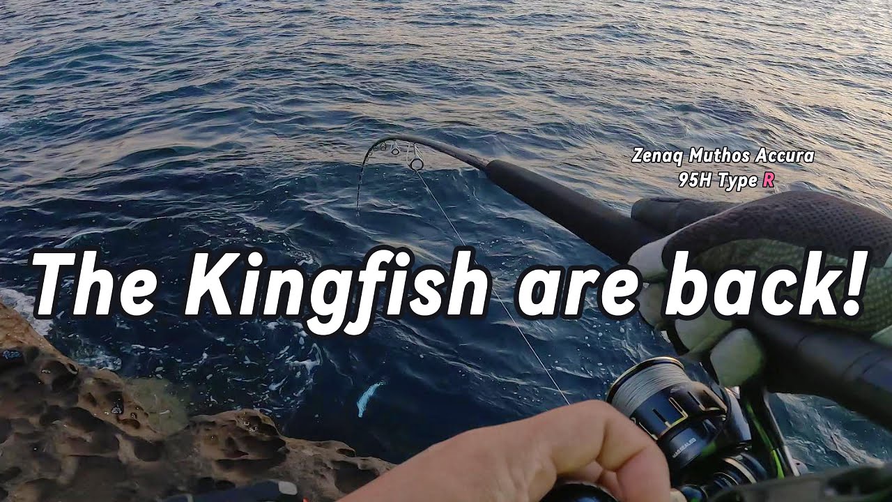 Kingfish on the Rocks! First Catch with My New Zenaq Rod & ISF Jig