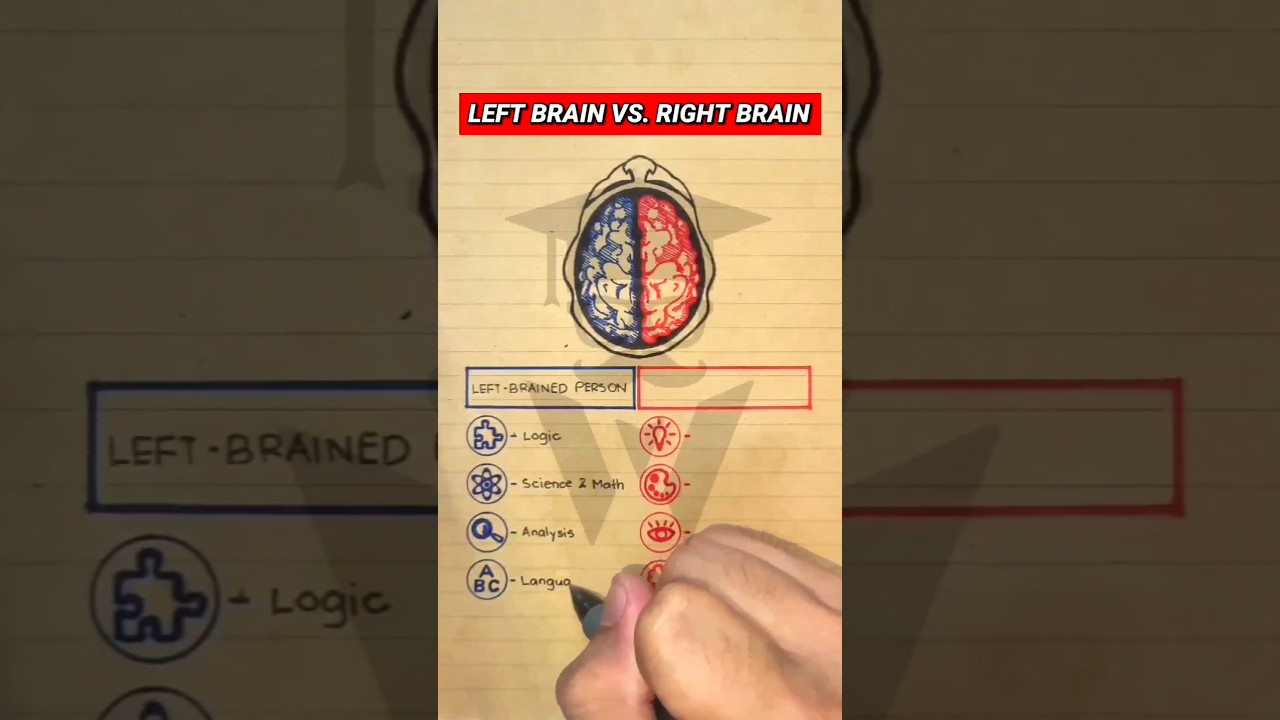Left Brain Vs. Right Brain Functions