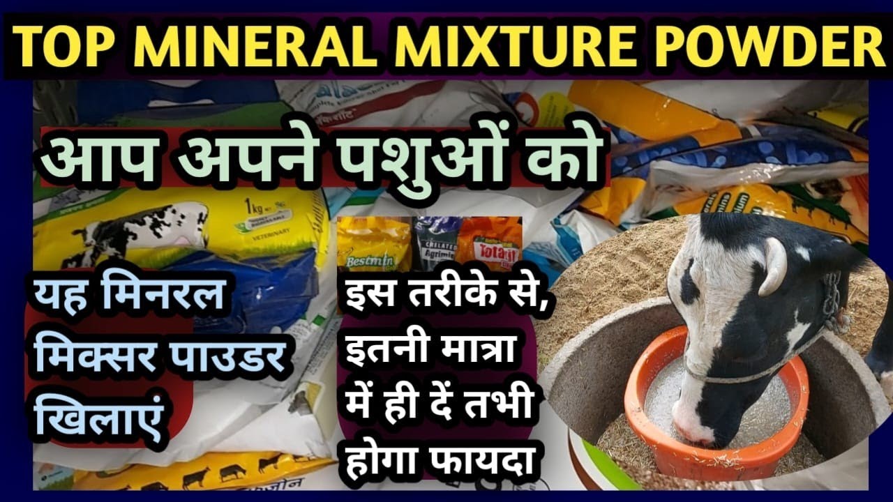 👍Top Mineral Mixture Powder Veterinary||आप अपने पशुओं को यह मिनरल मिक्सर पाउडर खिलाएं👉