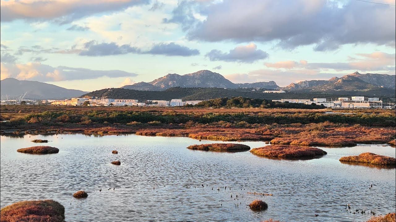 Olbia Magic