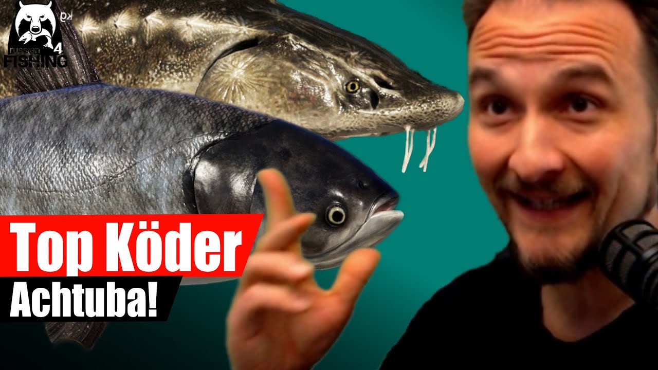 Russian Fishing 4 - Achtuba - K&ouml;der die immer gehen, Wildkarpfen, Marmorkarpfen, St&ouml;r, Aralbarbe