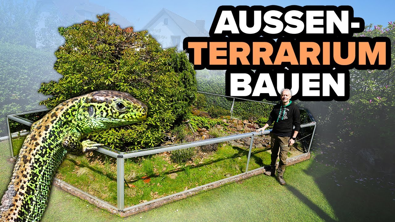 REPTILIEN-GARTEN! - So baust du ein Außenterrarium für Echsen, Schildkröten und Amphibien 🦎