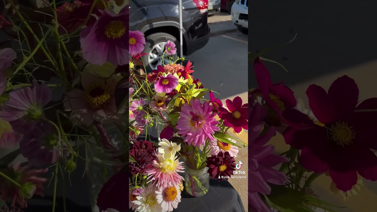This was my 3 rd farmers market. #cutflowers #flowerfarming #dahliaplants #farmersmarket