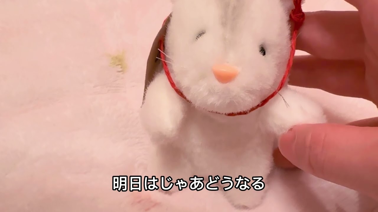 はっきりしてくださいよ
