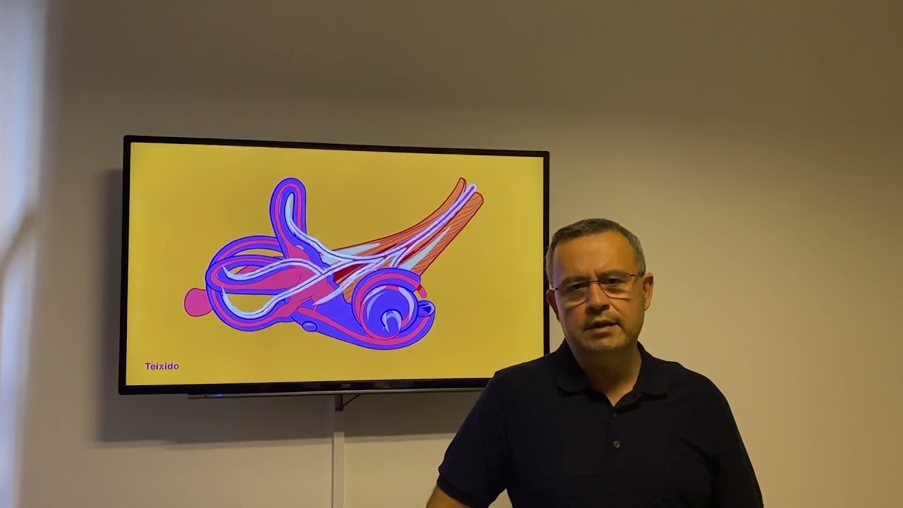Nezle ya da Grip Baş D&ouml;nmesi Yapar Mı? Vestib&uuml;ler N&ouml;rinit Nedir?