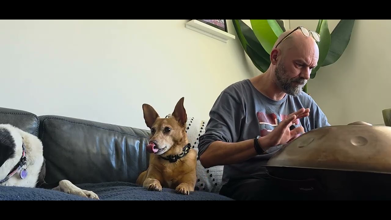 Handpan improvisation music. Relaxing doggie vibe  .