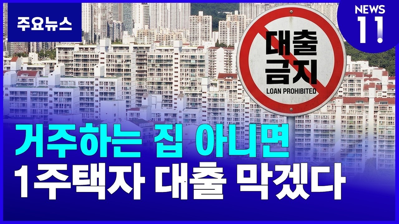 1주택자 전세대출 만기연장 제한 검토 [NEWS 11]