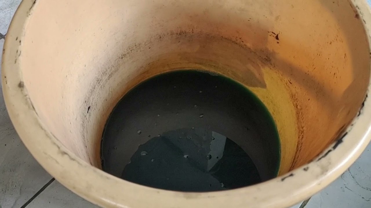 Olah ic dan kutu jumlah kecil, endapan regia abu2