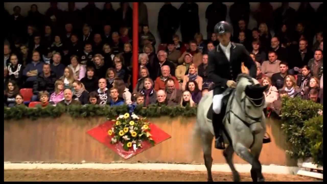 Levisonn *2005 by Levisto - Lennon (Stallion Show Sosath 2012)