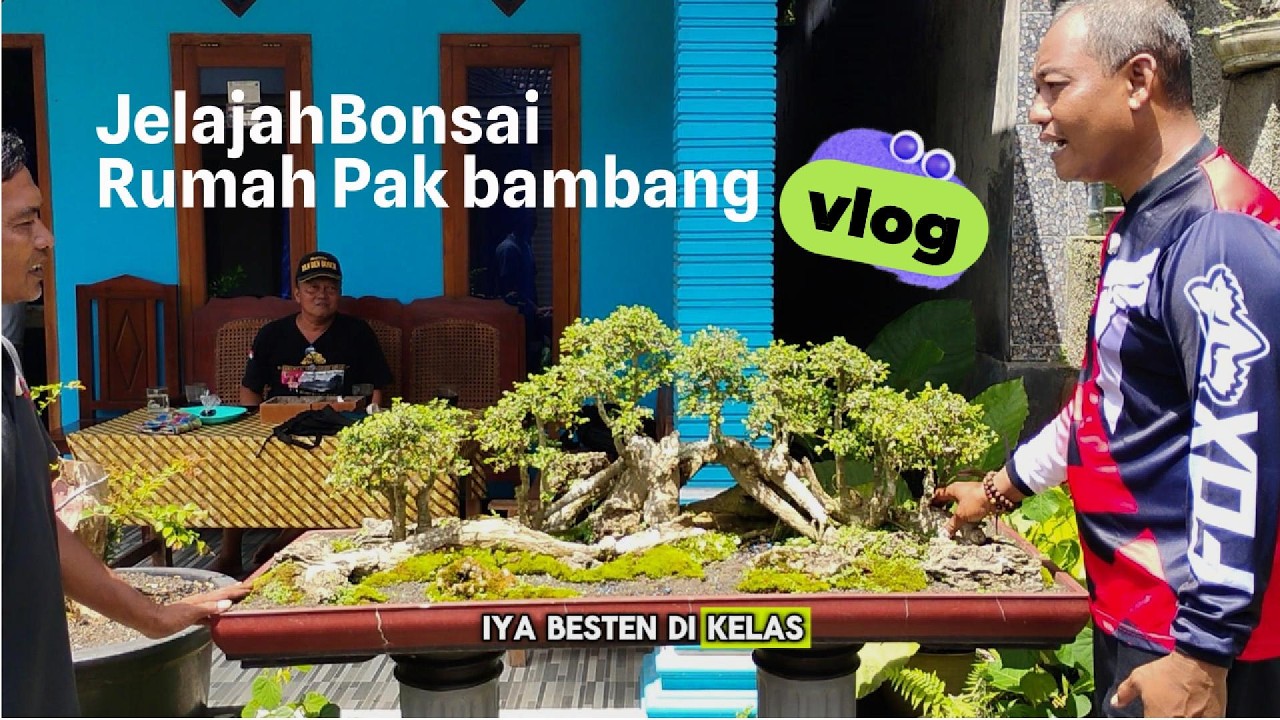 🌿 Jelajah Bonsai di Desa Plumbangan, Doko – Koleksi Bonsai Fantastis! 🌿