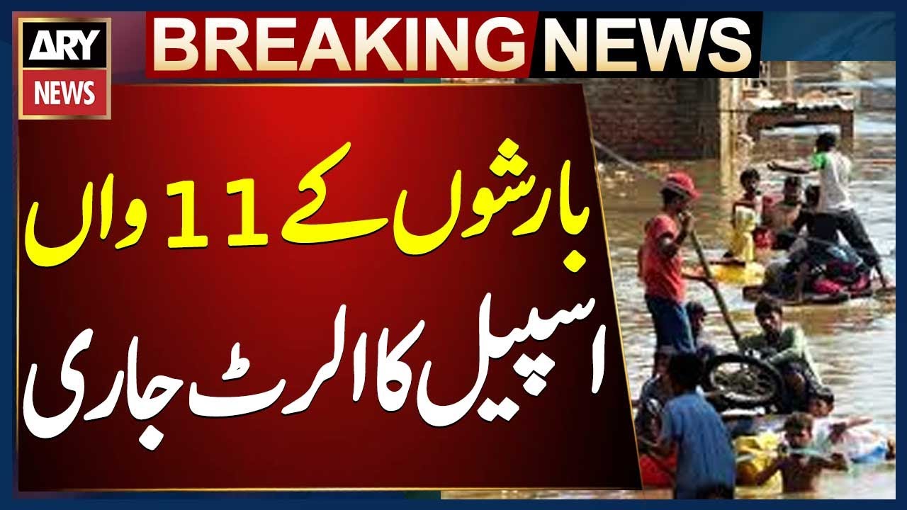PDMA Punjab Issues Alert for 11th Spell of Monsoon Rains: Spokesperson