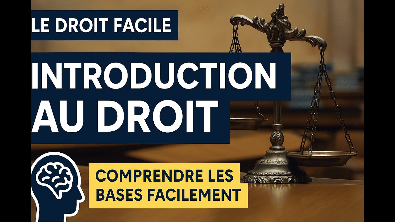 👉 Introduction au Droit  Comprendre les bases du droit français en 5 minutes !
