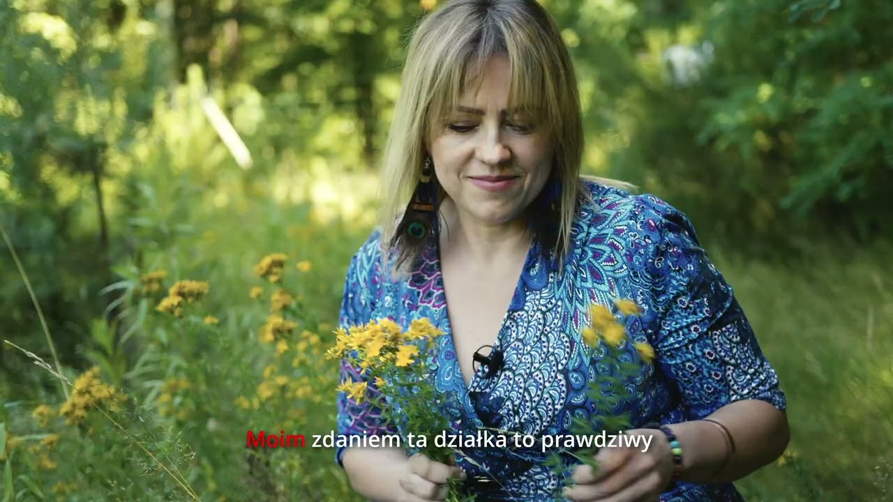 DZIAŁKA MROZ&Oacute;W